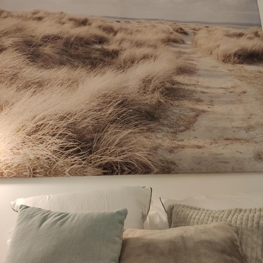 Le 21 Vue Sur Mer Concarneau Exteriér fotografie